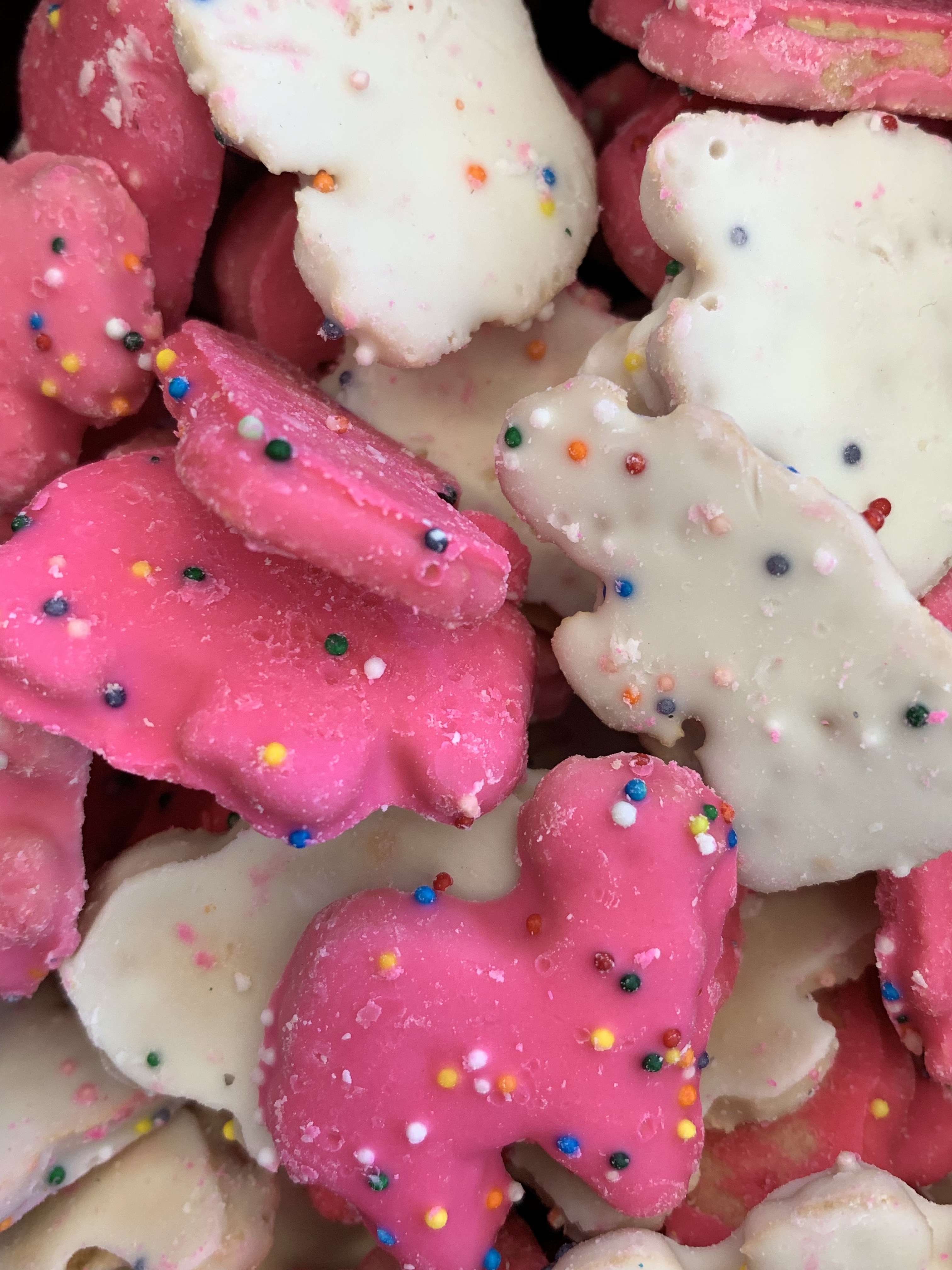 Frosted Animal Cookies