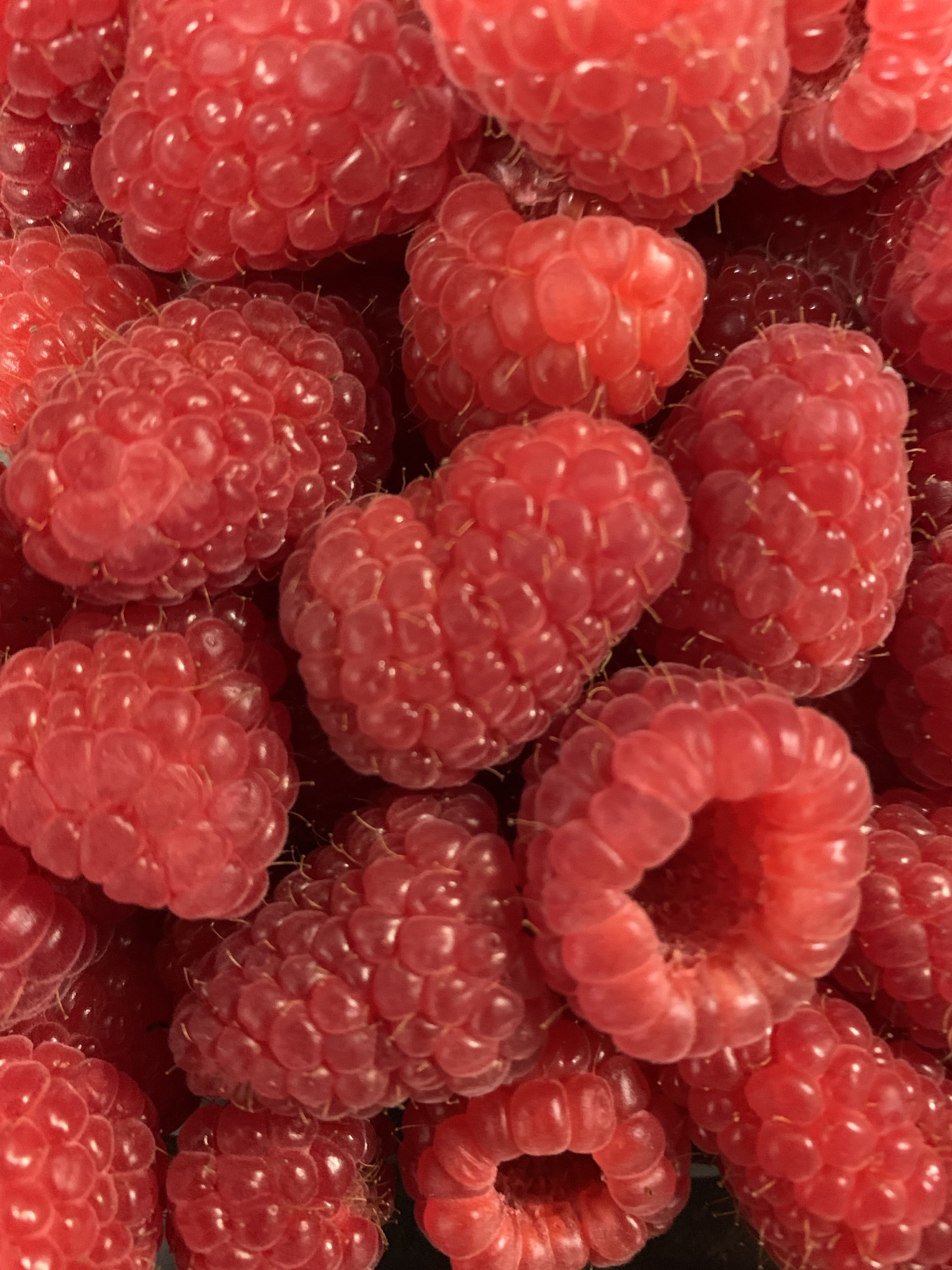 Raspberries